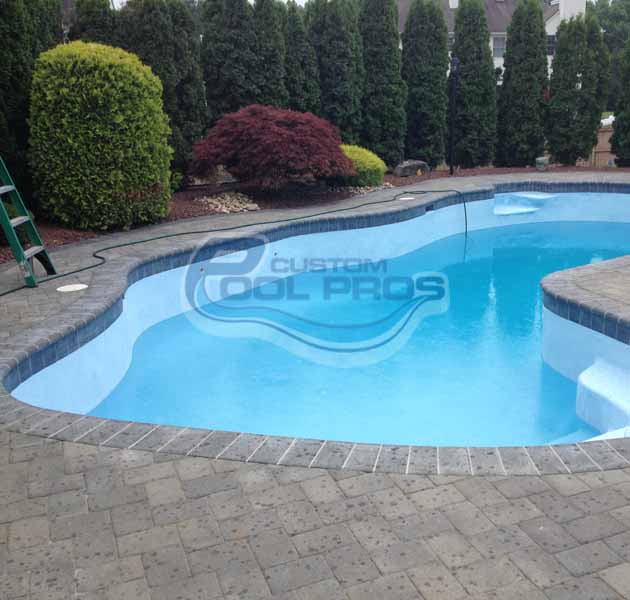 A clean, curved outdoor swimming pool, newly refreshed after a pool renovation, is surrounded by stone pavers, landscaped bushes, and tall evergreens. A green ladder stands on the left side near the pool’s edge.